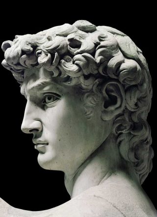david